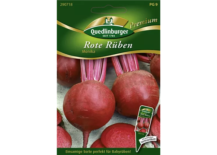 Rote Rübe-Samen 'Monika'