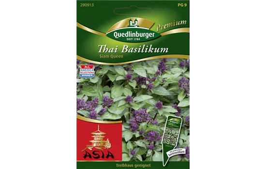Thai-Basilikum-Samen 'Siam Queen'
