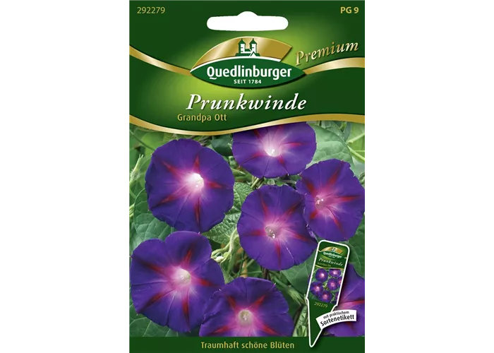 Trichterwindensamen 'Grandpa Ott' Trichterwindensamen 'Grandpa Ott'