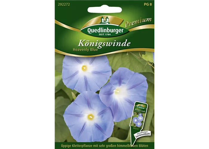 Trichterwindensamen 'Heavenly Blue' Trichterwindensamen 'Heavenly Blue'
