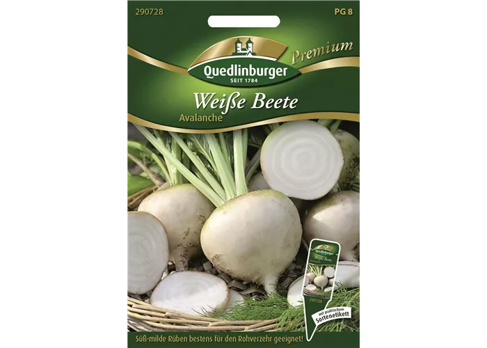 Weiße Bete-Samen 'Avalanche'