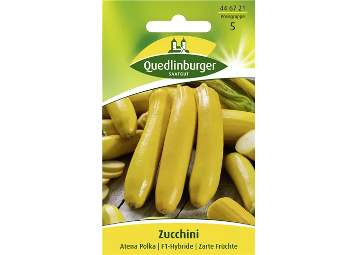 Zucchinisamen 'Atena Polka' Zucchinisamen 'Atena Polka'