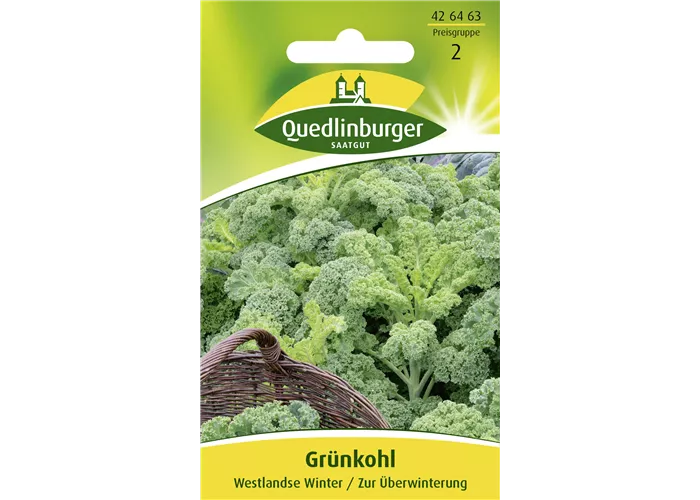 Grünkohlsamen 'Westerländer Winter' Grünkohlsamen 'Westerländer Winter'