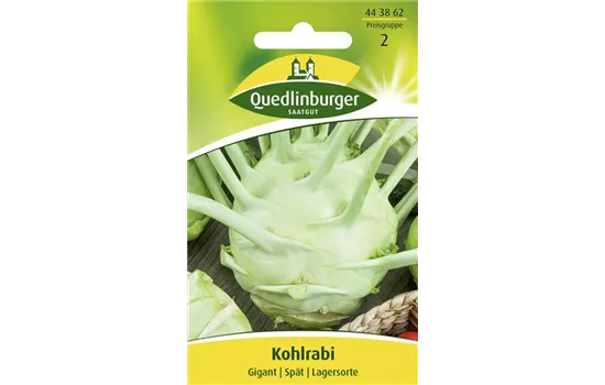 Kohlrabisamen 'Gigant' Kohlrabisamen 'Gigant'