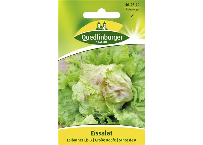 Batavia-Salat-Samen 'Laibacher Eis'