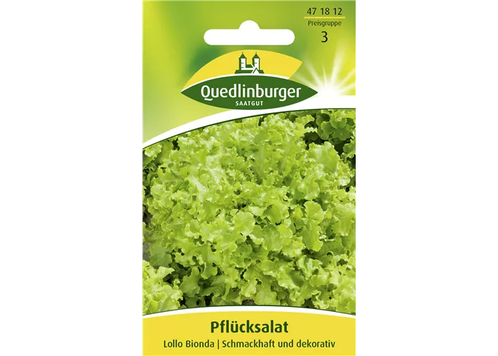 Blatt-Salat-Samen 'Lollo bionda'