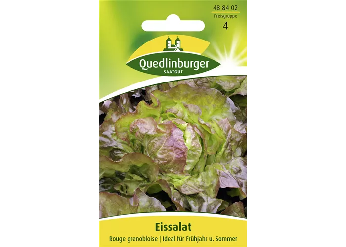Eisbergsalatsamen 'Rouge Grenobloise'