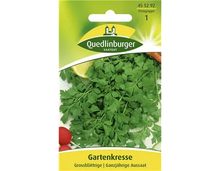 Gartenkressesamen 'Großblättrige'