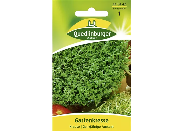 Gartenkressesamen 'Krause'