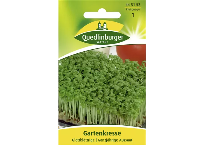 Glattblättrige Gartenkresse-Samen
