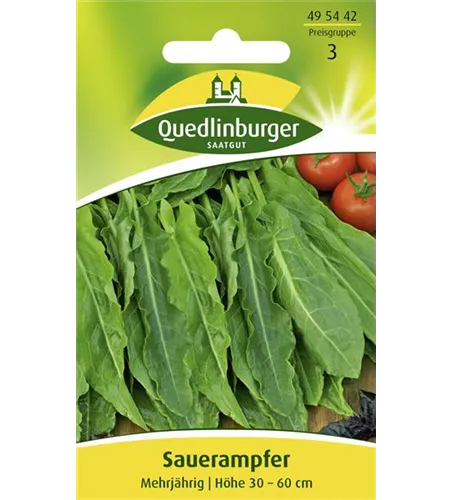 Großer Sauerampfer-Samen