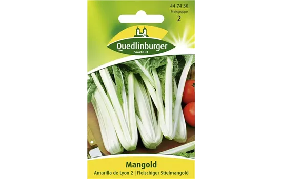 Mangoldsamen 'Amarilla de Lyon 2' Mangoldsamen 'Amarilla de Lyon 2'