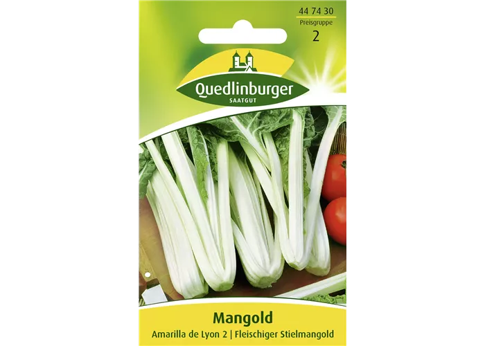Mangoldsamen 'Amarilla de Lyon 2'