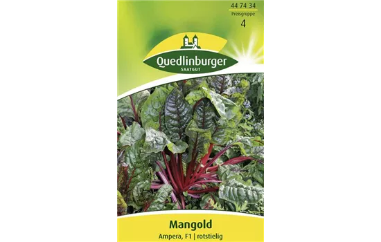 Mangoldsamen 'Ampera' Mangoldsamen 'Ampera'