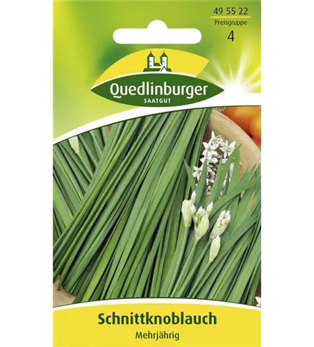 Schnittknoblauchsamen