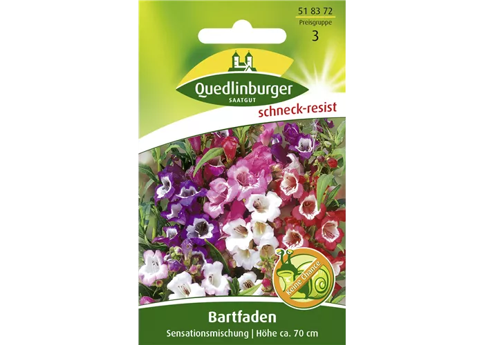 Bartfadensamen 'Sensationsmischung'