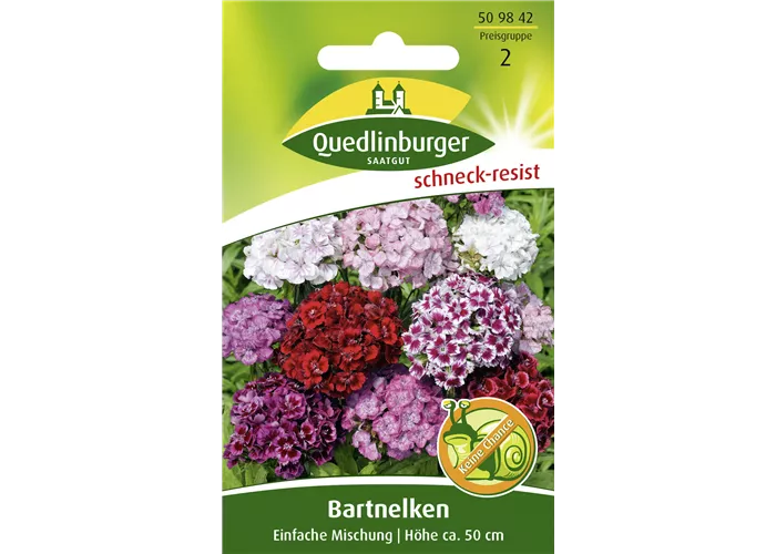 Bartnelkensamen 'Einfache Mischung'