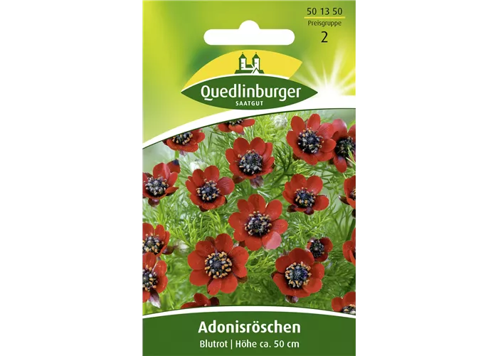 Adonisröschensamen 'Blutrot'
