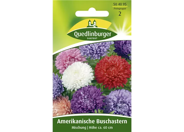 Amerikanische Buschaster-Samen