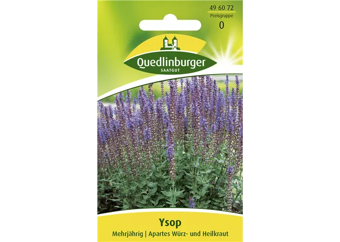 Apotheker-Ysop-Samen