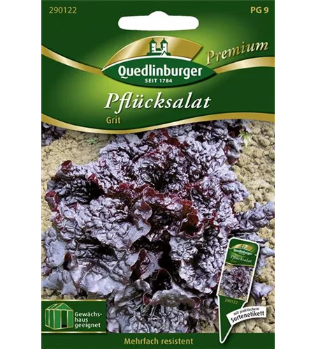 Eichblattsalatsamen 'Grit'