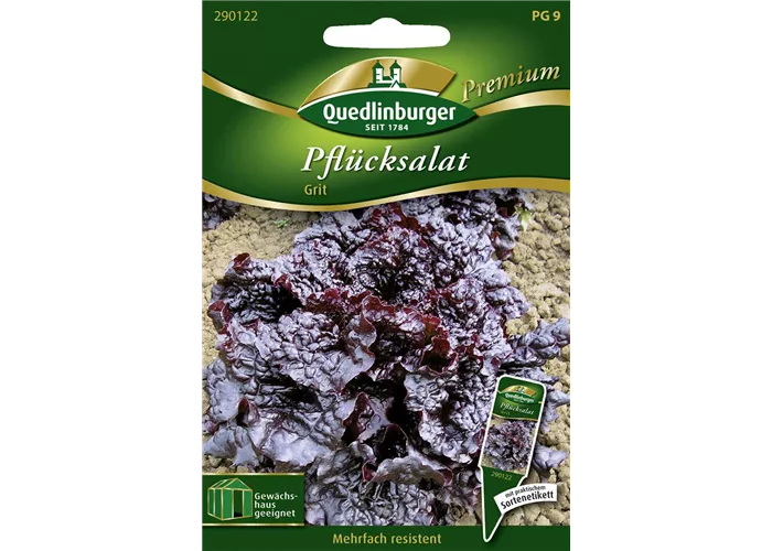 Eichblattsalatsamen 'Grit'