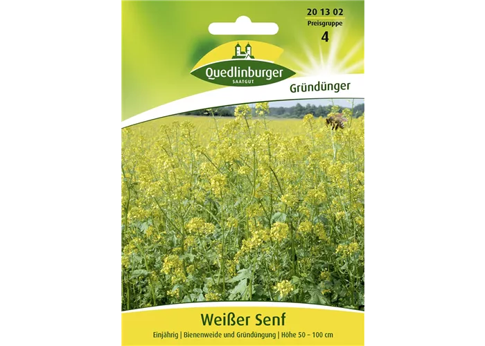 Gelbsenfsamen Gelbsenfsamen