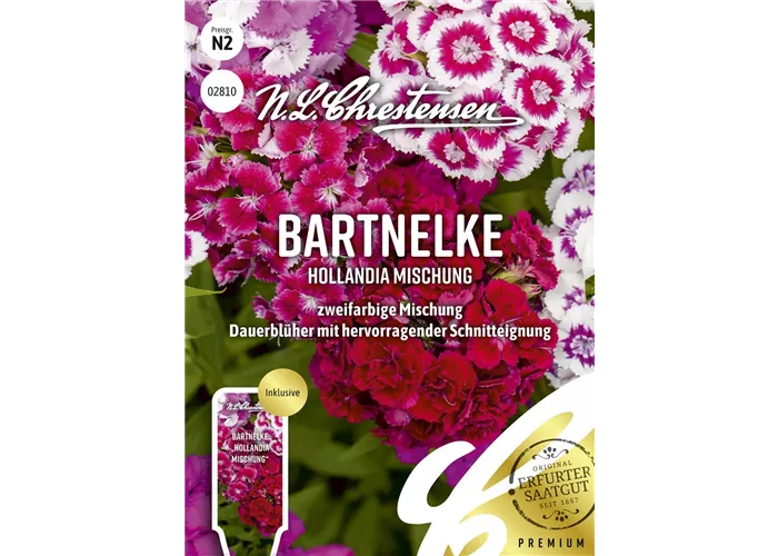 Bartnelkensamen 'Hollandia Mix'