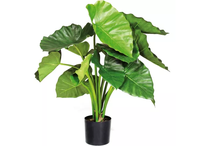 fleur ami ALOCASIA CALIDORA Kunstpflanze fleur ami ALOCASIA CALIDORA Kunstpflanze