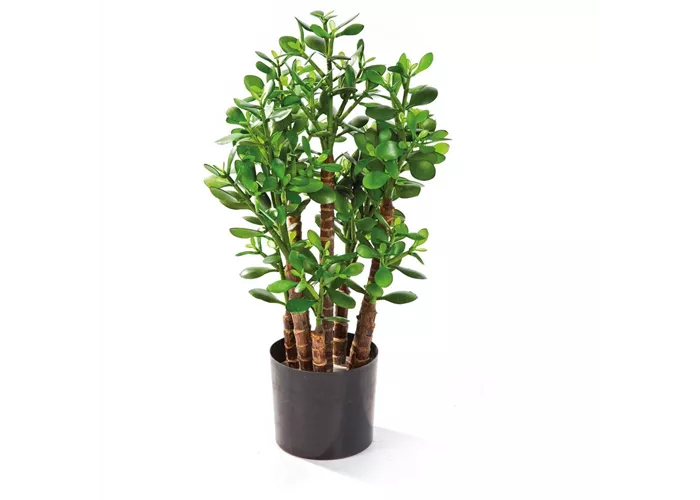 fleur ami CRASSULA OVATA Kunstpflanze fleur ami CRASSULA OVATA Kunstpflanze
