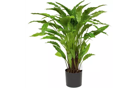 fleur ami CALATHEA Kunstpflanze fleur ami CALATHEA Kunstpflanze