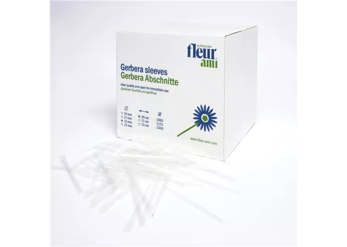 fleur ami GERBERA Abschnitte