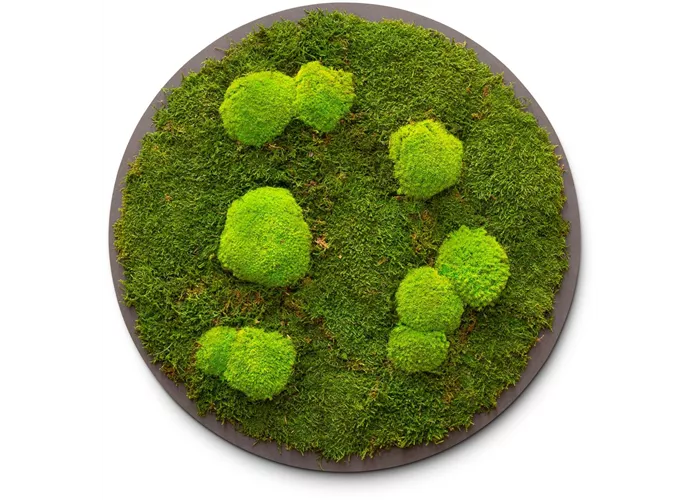 fleur ami PREMIUM Moos-Bild fleur ami PREMIUM Moos-Bild