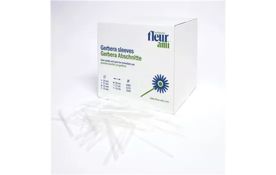 fleur ami GERBERA Abschnitte fleur ami GERBERA Abschnitte