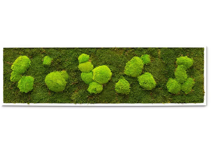 fleur ami PREMIUM Moos-Bild fleur ami PREMIUM Moos-Bild