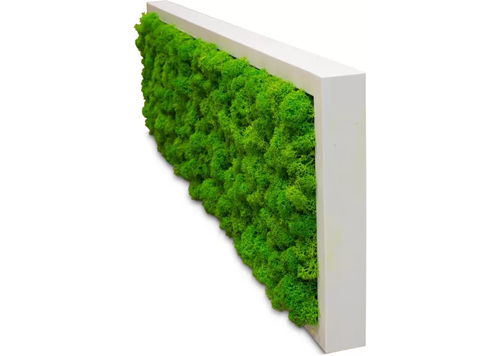 fleur ami PREMIUM Moos-Bild fleur ami PREMIUM Moos-Bild