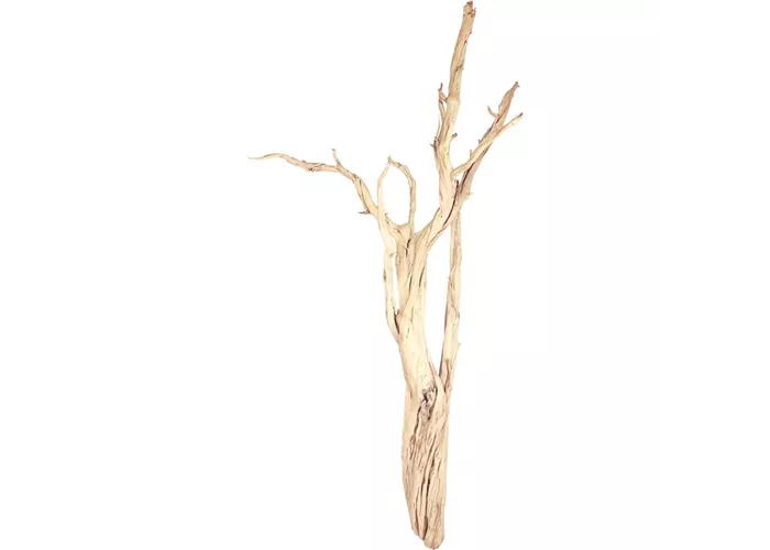 fleur ami Ghostwood fleur ami Ghostwood