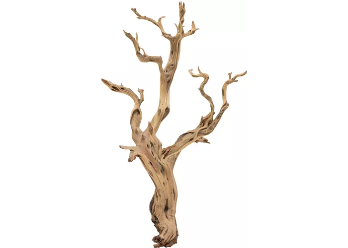 fleur ami Ghostwood fleur ami Ghostwood