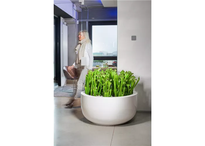 fleur ami PREMIUM CLASSIC Bodengefäß fleur ami PREMIUM CLASSIC Bodengefäß