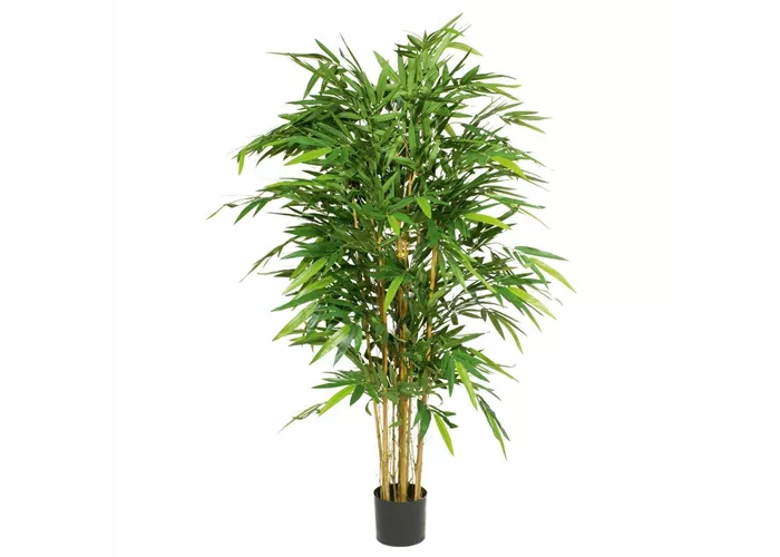fleur ami BAMBUS DELUXE Kunstpflanze fleur ami BAMBUS DELUXE Kunstpflanze