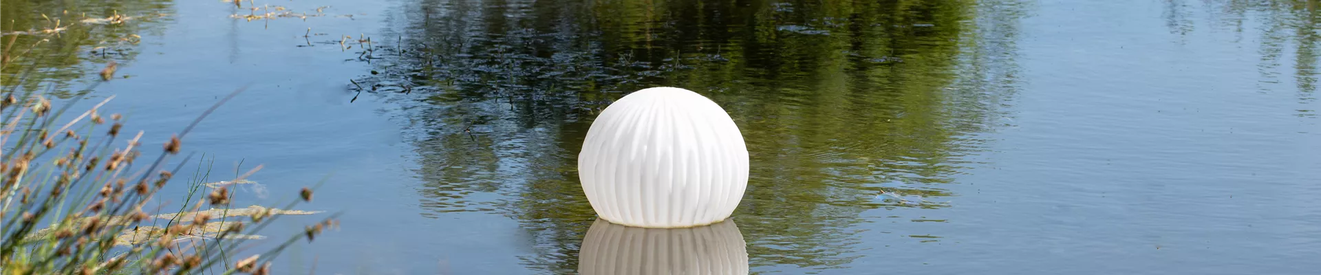 Teichbeleuchtung im Wasser  Teichbeleuchtung im Wasser