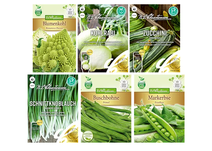 Saatgut Set 'Gemüsepfanne'