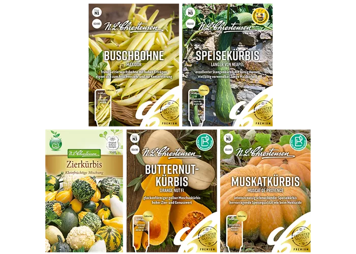Saatgut Set 'Kürbis' 