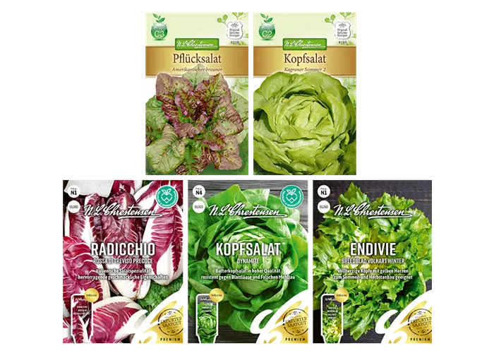 Saatgut Set 'Salat' 