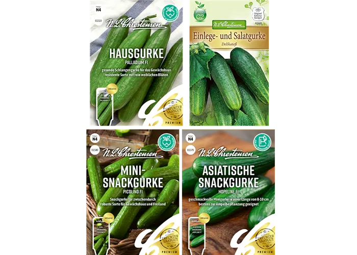Saatgut Set 'Gurken'