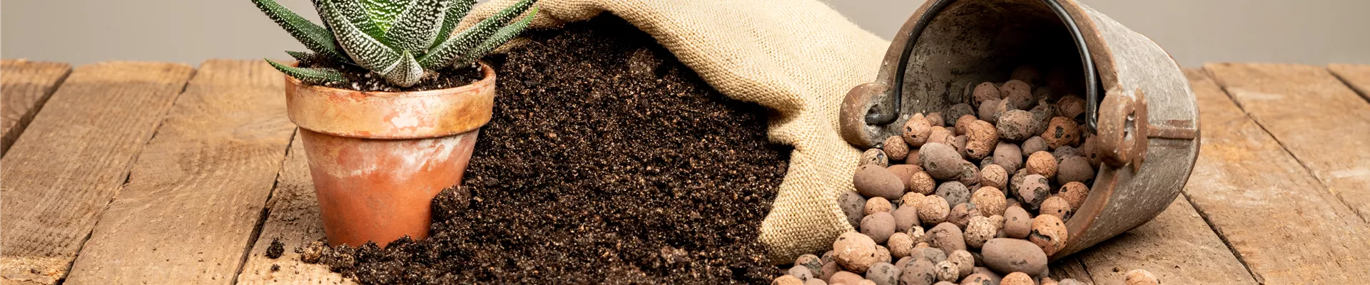Erde im Jutesack mit Sukkulente und Blähton