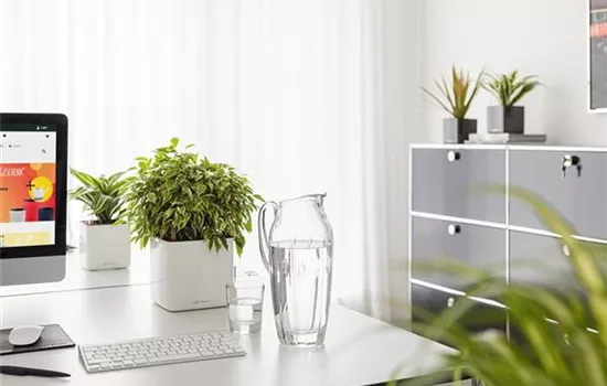 LECHUZA CUBE Glossy 16  LECHUZA CUBE Glossy 16