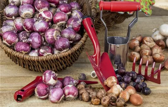 Gartenzubehör – kleine Helfer bei der täglichen Gartenarbeit  Gartenzubehör – kleine Helfer bei der täglichen Gartenarbeit