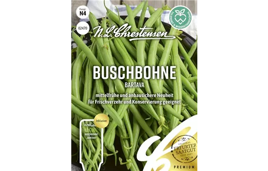 Buschbohnensamen 'Bartava'