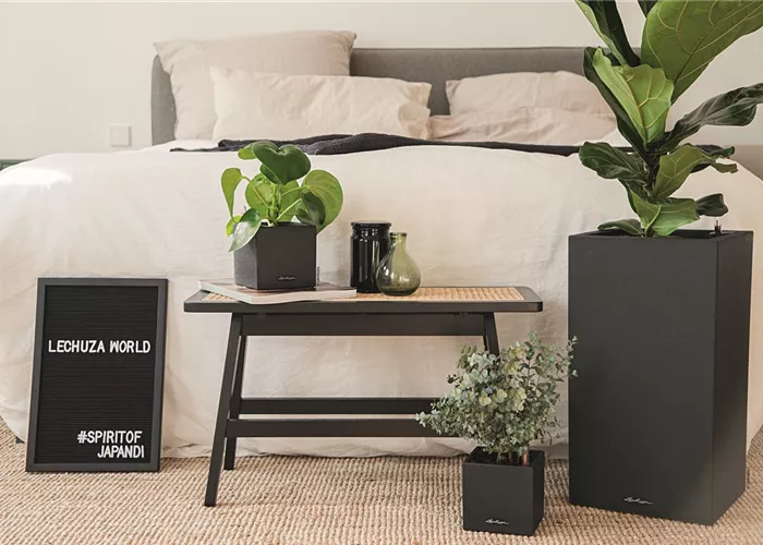 LECHUZA CANTO Stone 40 high LECHUZA CANTO Stone 40 high